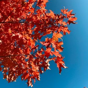 Fall One Day Sale! Bundle & Save 20%